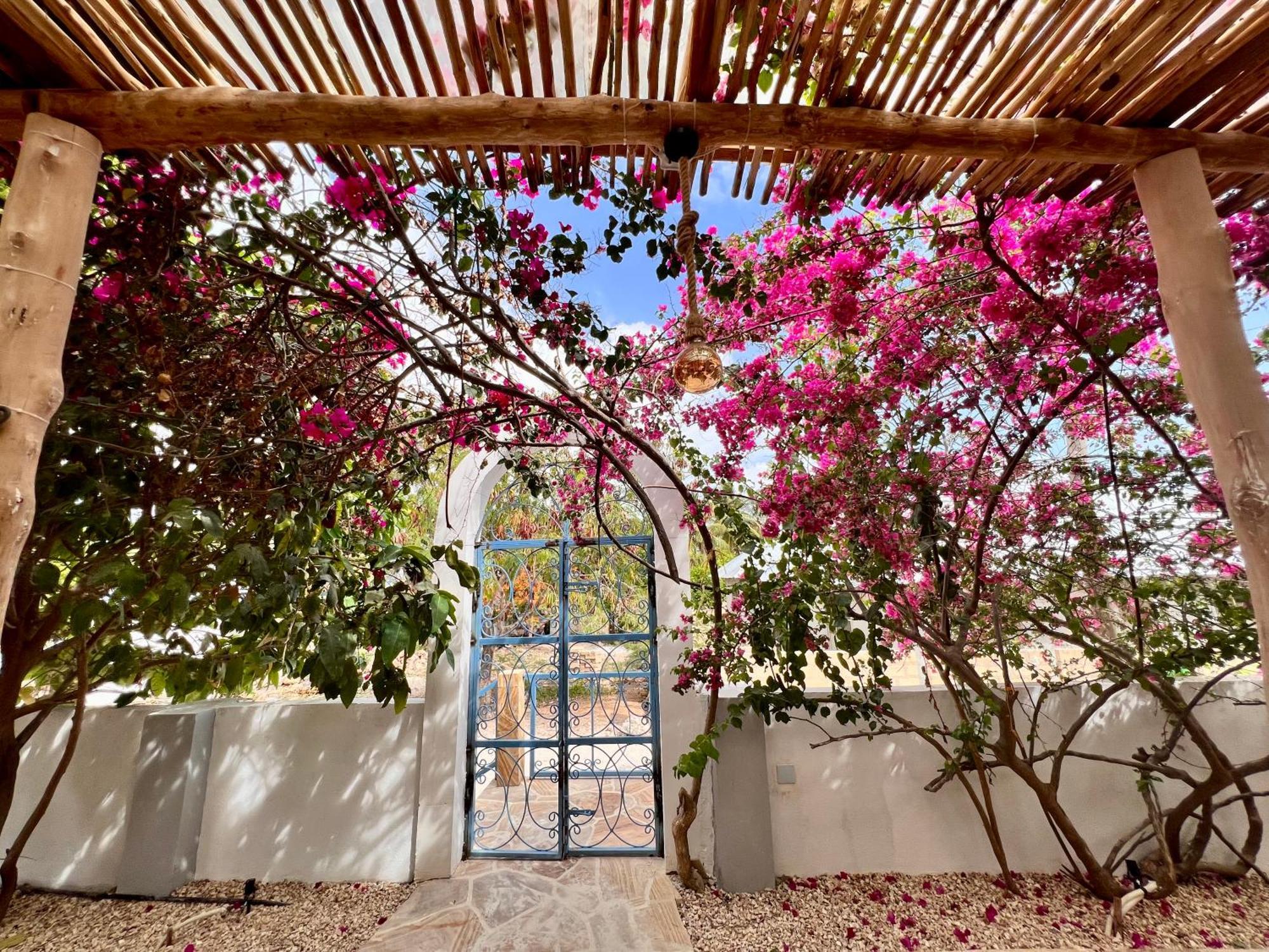 Bed and Breakfast Barabara House Jambiani  Esterno foto
